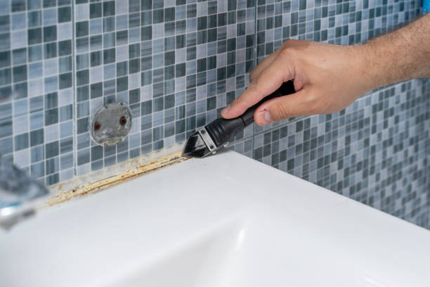 Best Best Mold Removal Companies  in Niantic, CT